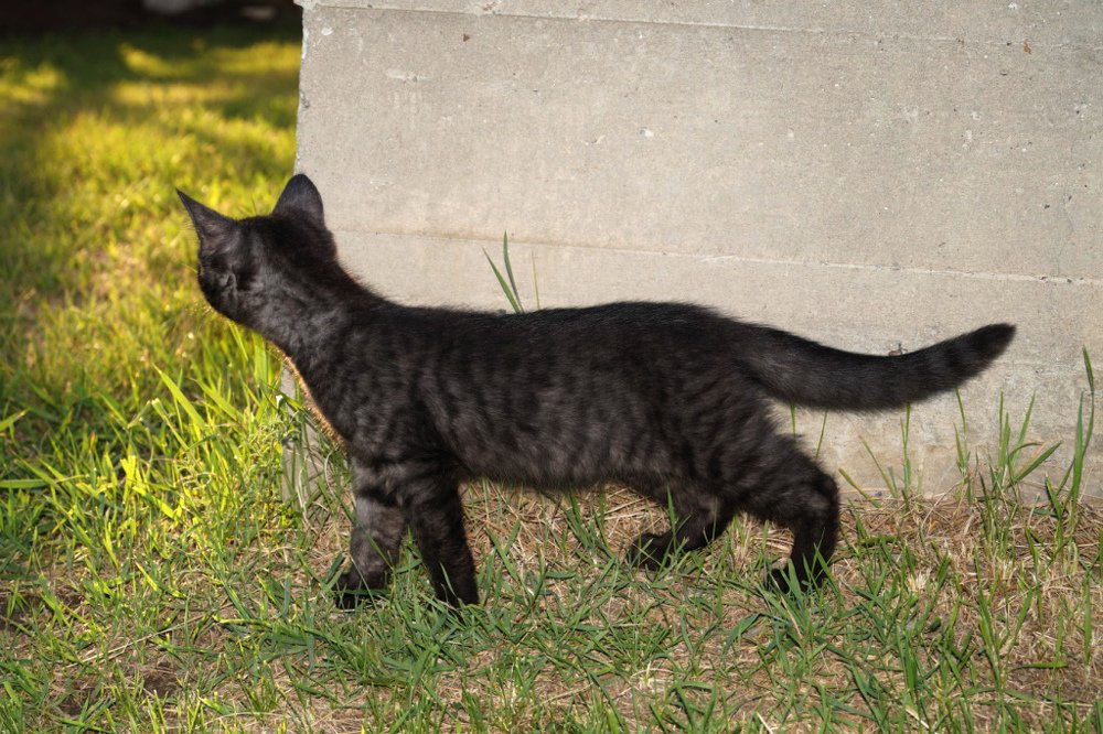 Photograph by Татьяна Мирохина