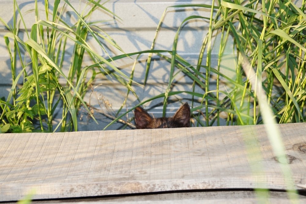 Photograph by Татьяна Мирохина