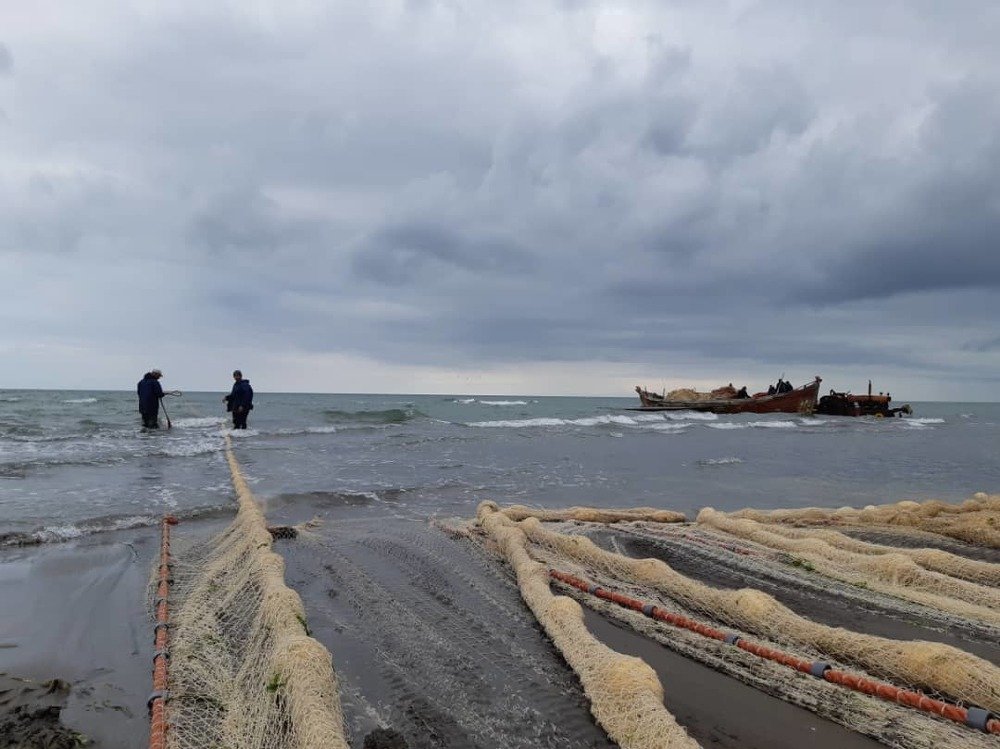 Photograph by masumeh eslami