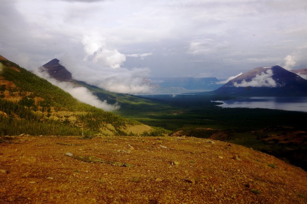 После дождя