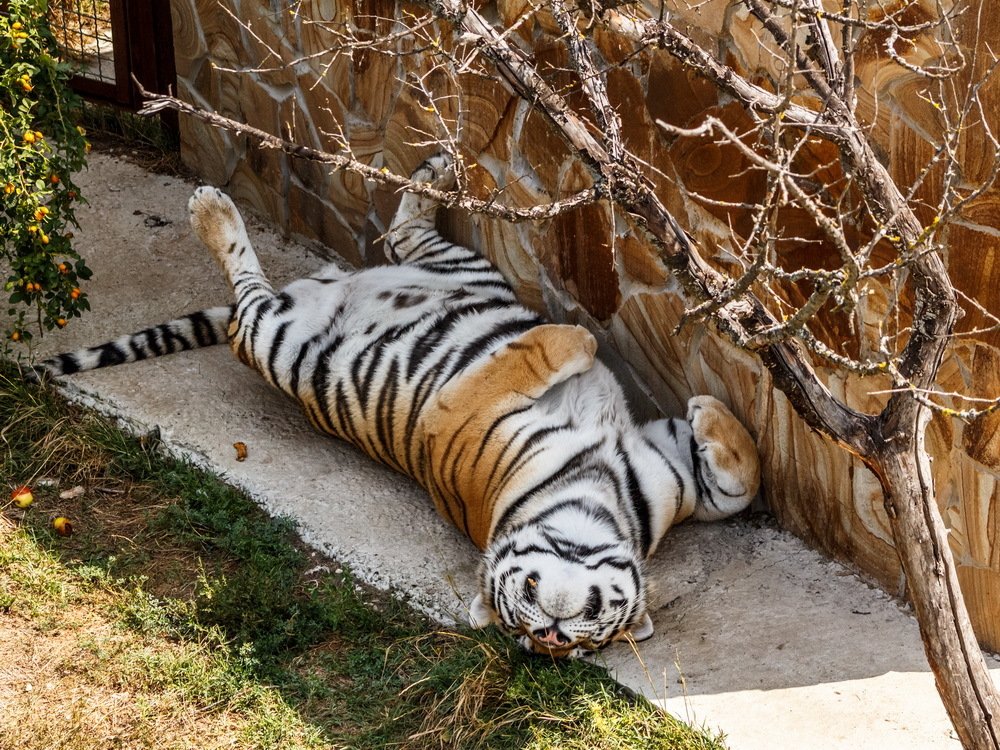 Photograph by Юлия Долгина