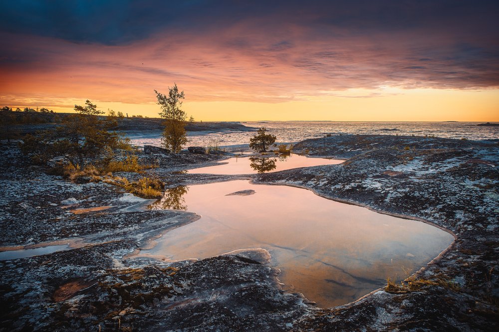 Фотография автора Алексей Новиков