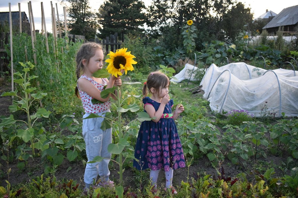 бабушкины внучки