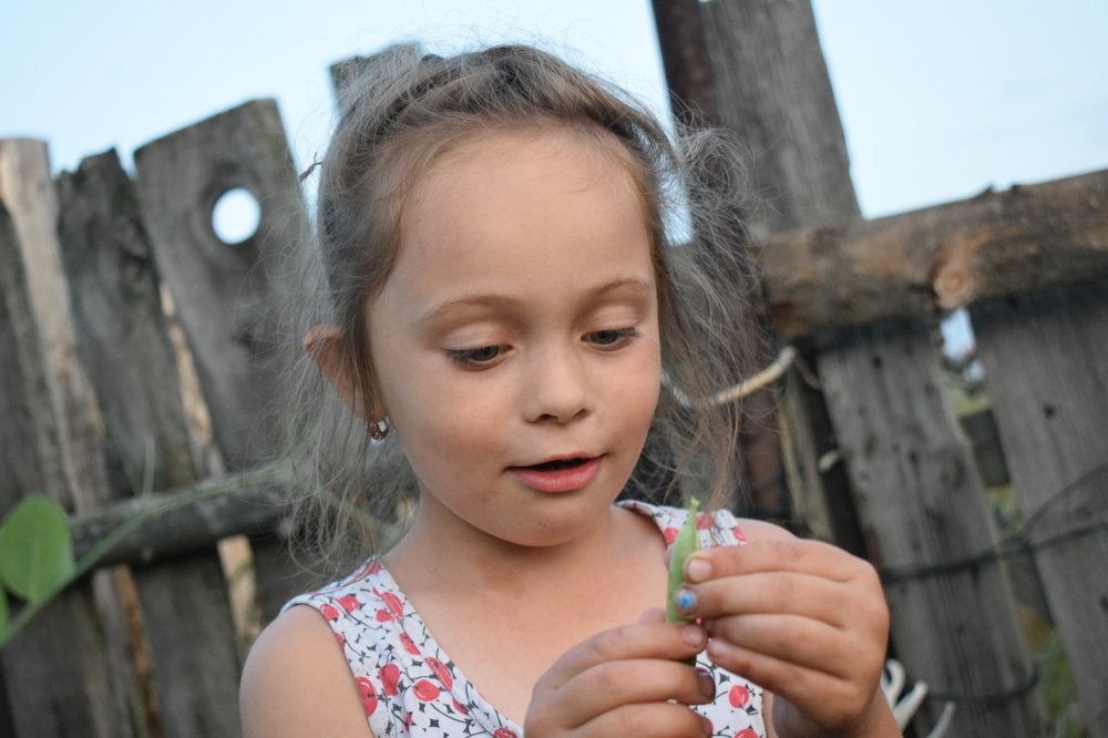 Photograph by Танзиля Завьялова