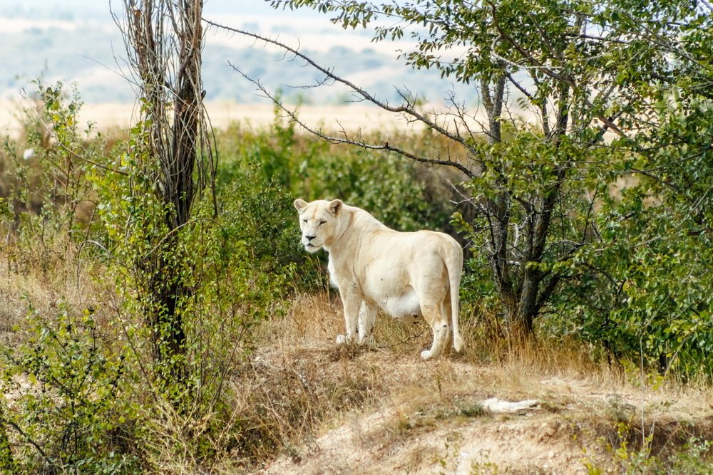 Photograph by Юлия Долгина