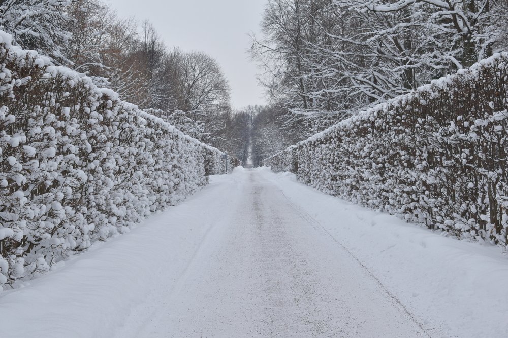 Photograph by Танзиля Завьялова