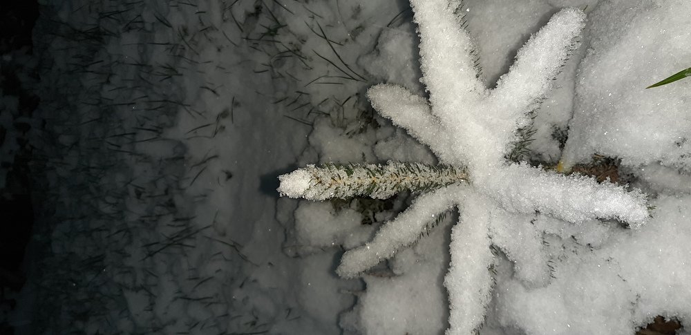 Photograph by Bajram Ramadani