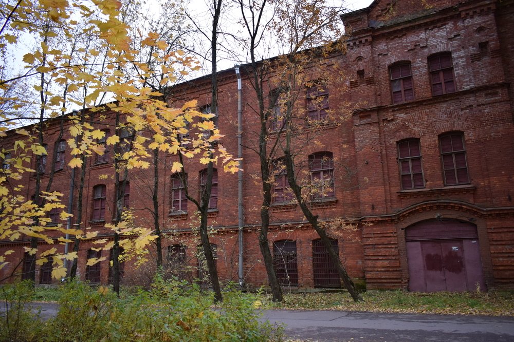 Photograph by Танзиля Завьялова