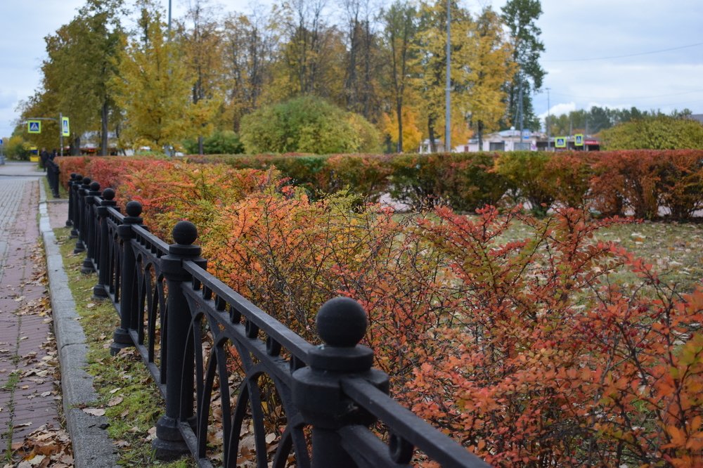 Photograph by Танзиля Завьялова