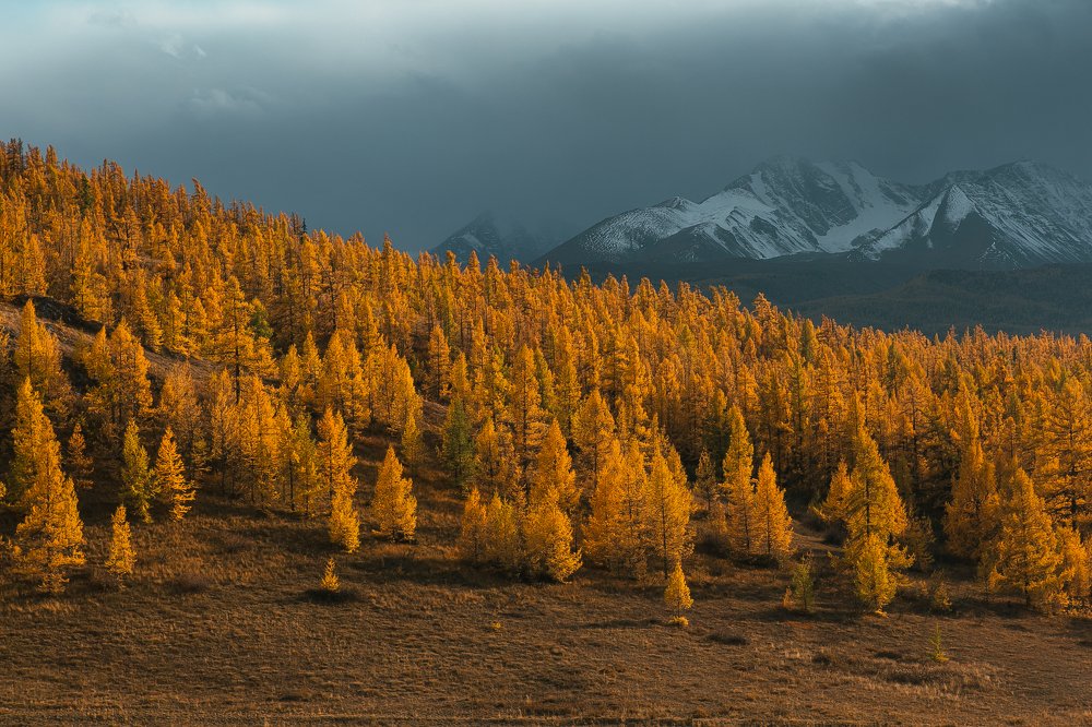 Фотография автора Алексей Новиков