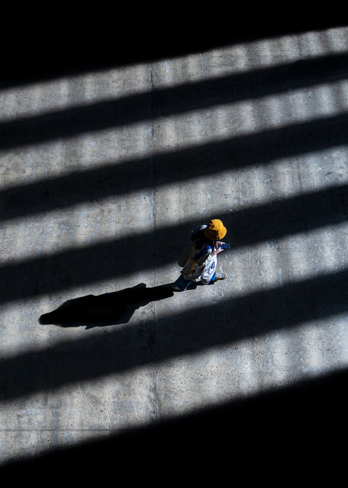 Photograph by Selaru Ovidiu