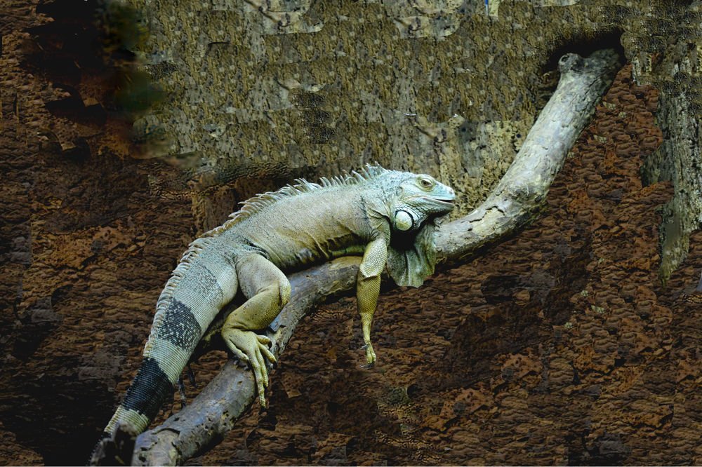 Photograph by Танзиля Завьялова