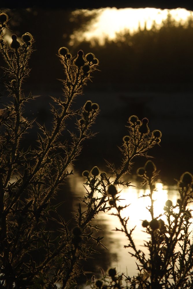 Photograph by Михаил Васильченко