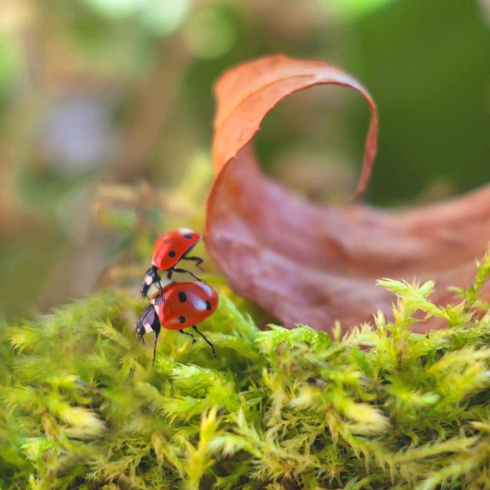 Фотография автора Мария Александрова