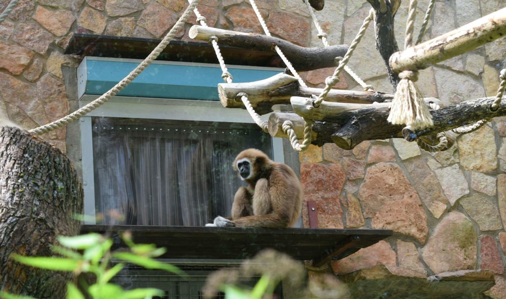 Photograph by Танзиля Завьялова