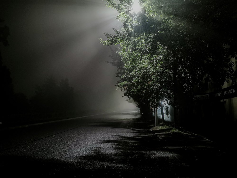 Photograph by Алексей Алексеев