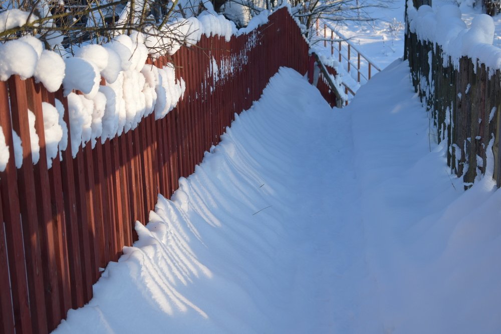 Photograph by Танзиля Завьялова