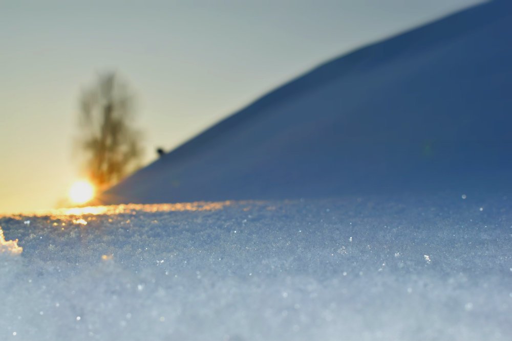 Photograph by Танзиля Завьялова