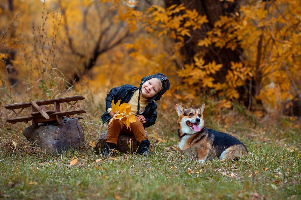 Друзья- летчики