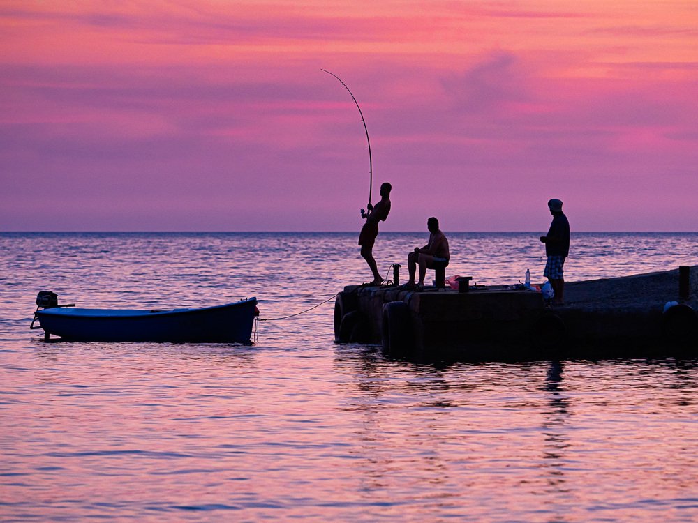 Ловись рыбка...