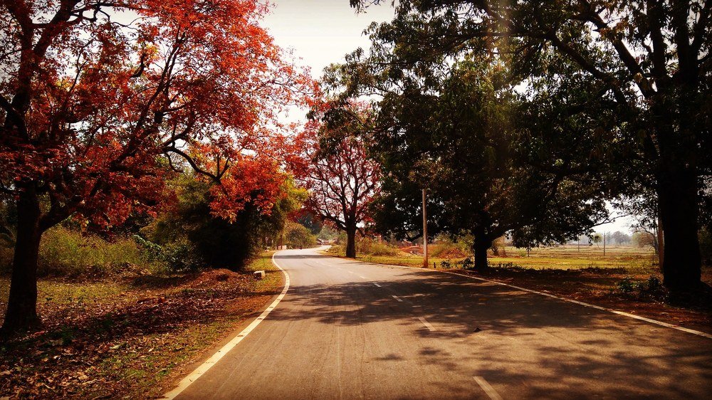 Photograph by SAMARJEET BEHERA