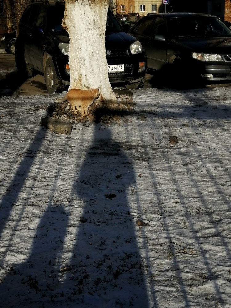 Photograph by Анастасия Чепурнова