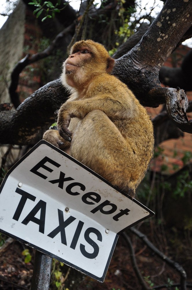 Photograph by Ninel Roshchina