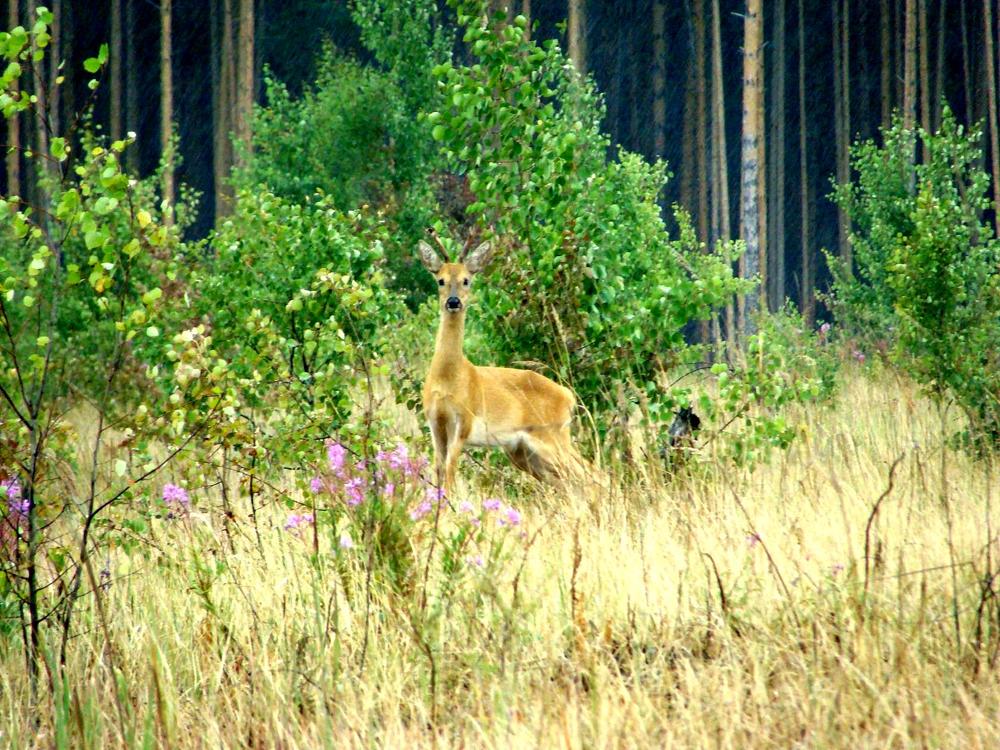 Фотография автора Павел Попов