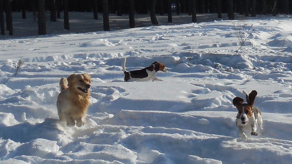 Фотография автора Павел Попов