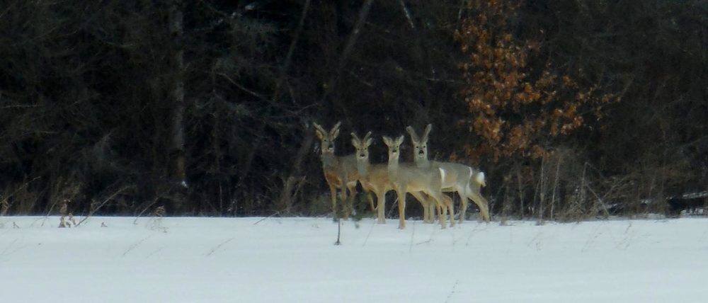 Фотография автора Павел Попов