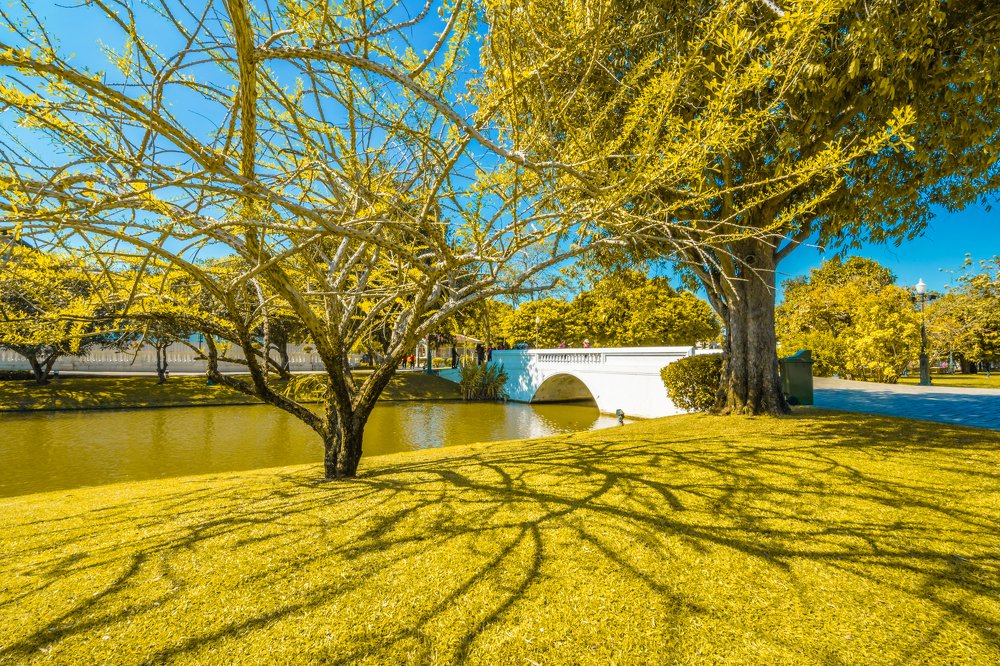 Photograph by Phan Thu