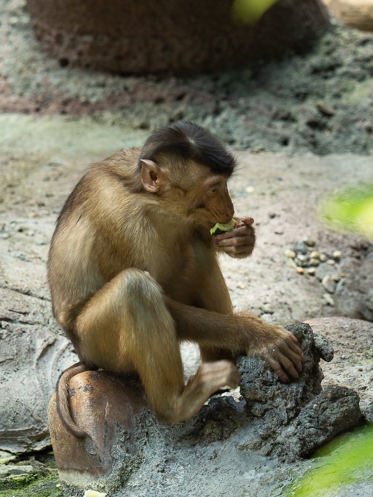 Фотография автора Петр Богомазов