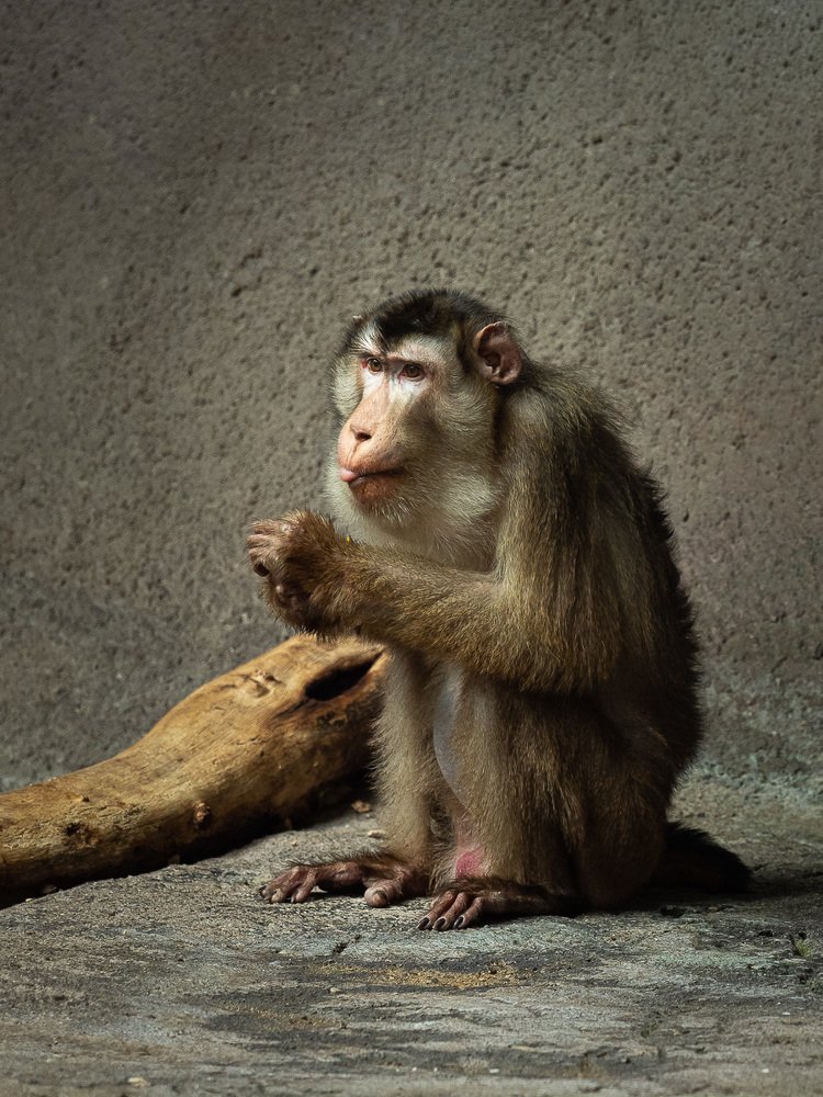 Фотография автора Петр Богомазов