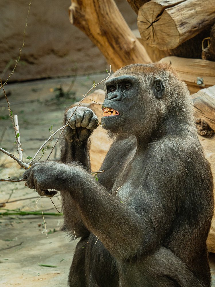 Фотография автора Петр Богомазов