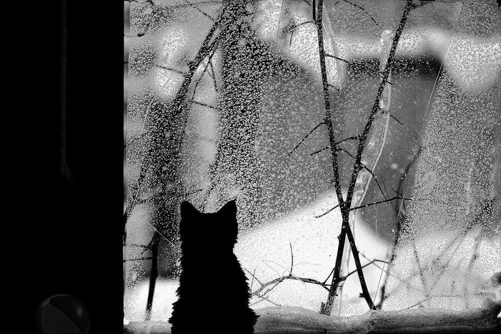 Весна, весна, ну где же ты застряла?...