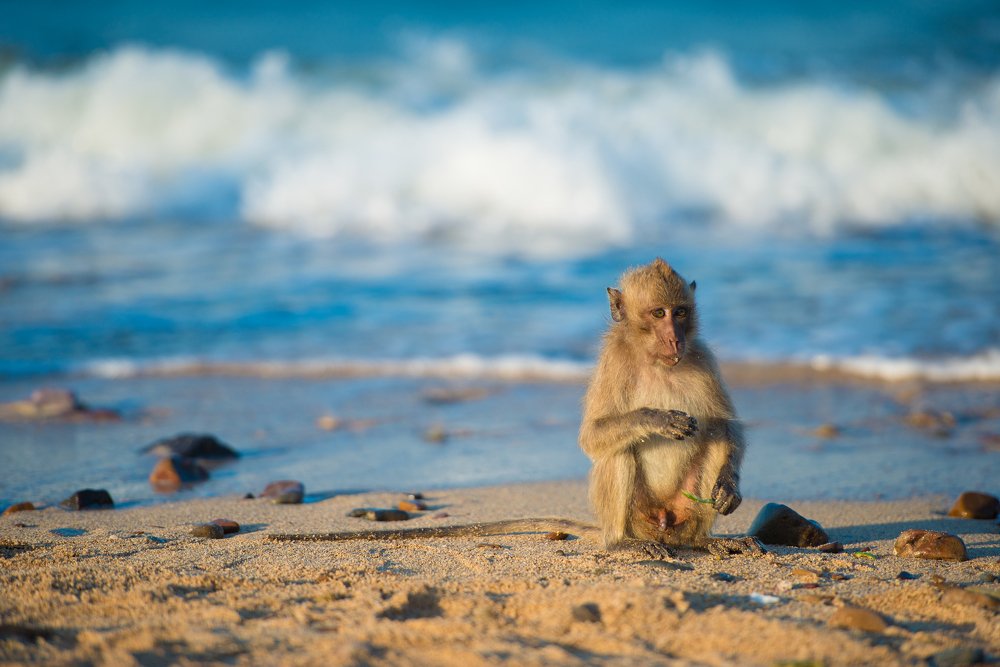 Photograph by Светлана Кужагалиева