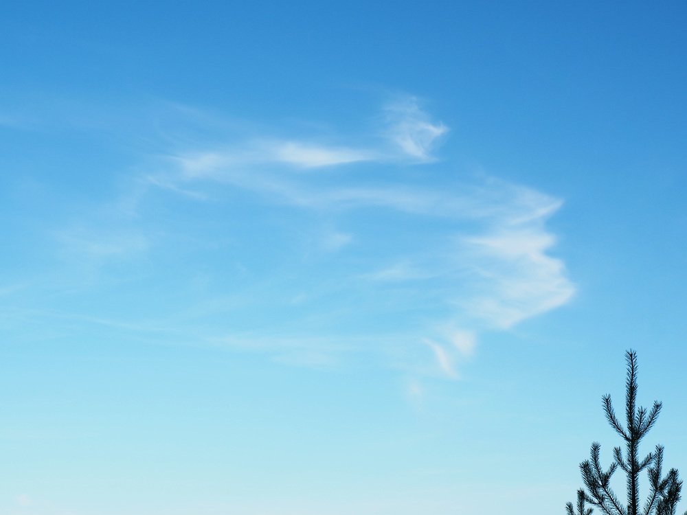 Photograph by Ольга Беккер