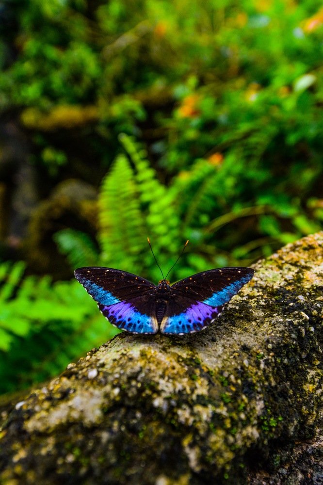 Photograph by Faris Luqman Marzuki