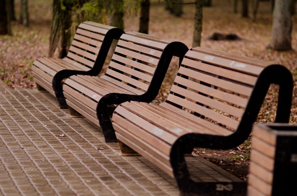 Photograph by Елена Гунько