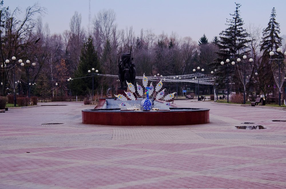 Photograph by Елена Гунько