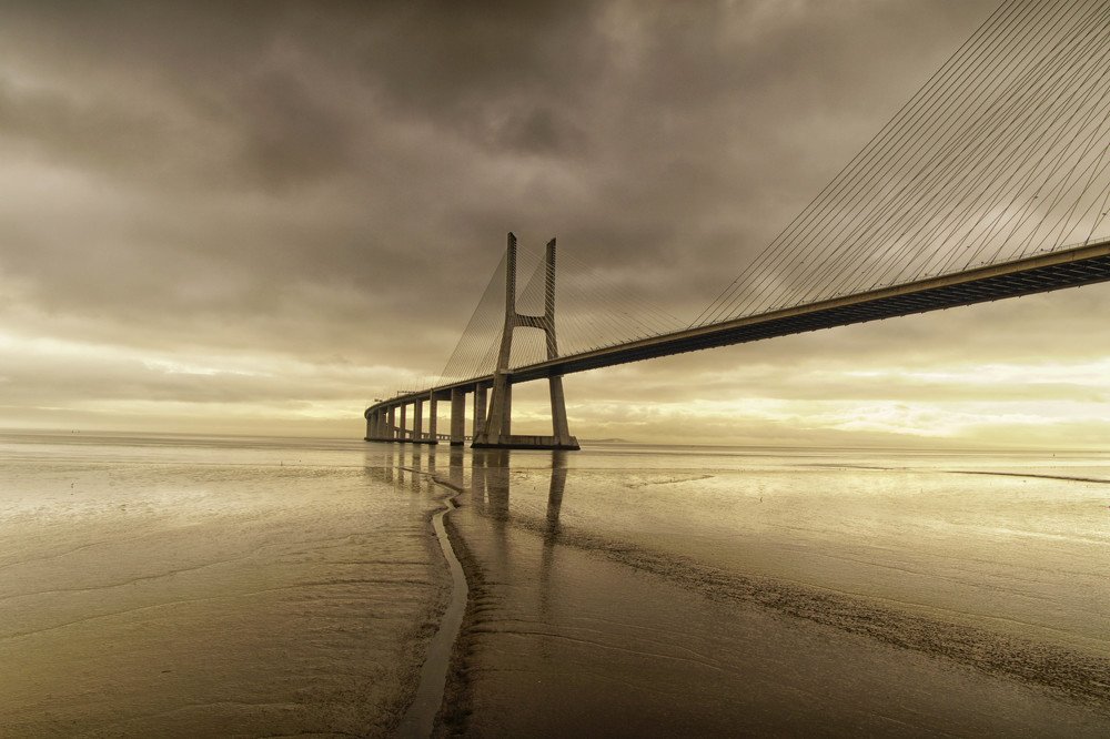 Photograph by Mário C.