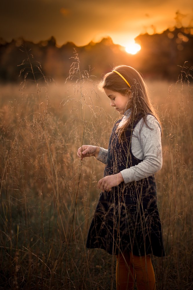 Фотография автора Nicole O’Rourke