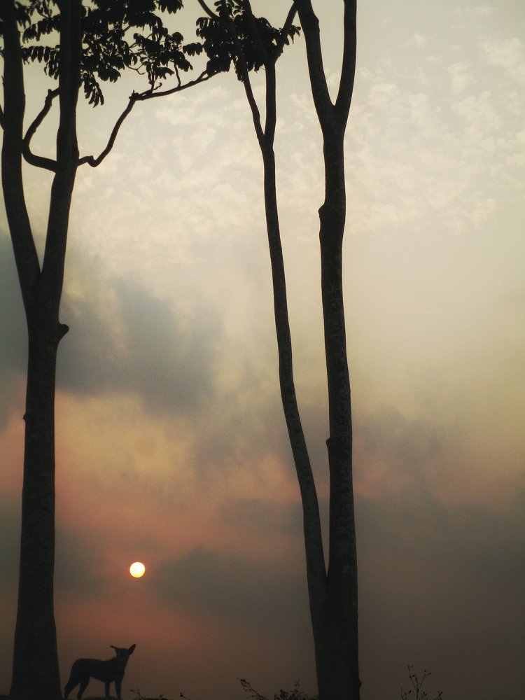 Alone