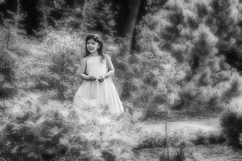 В загадочном лесу