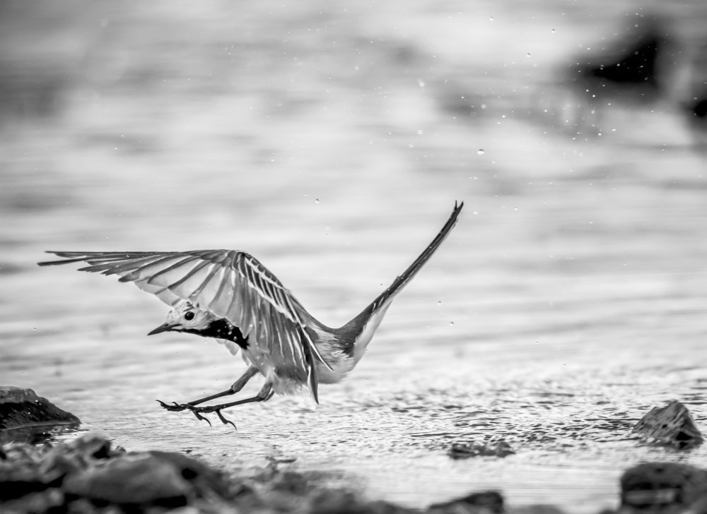 В стиле египетских иероглифов