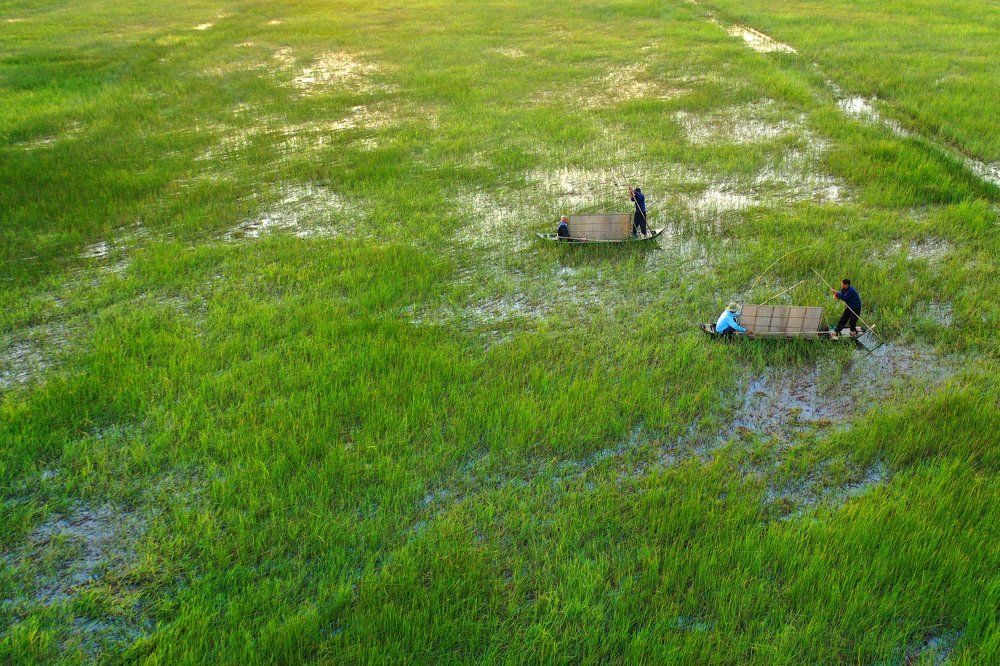 Photograph by Hoang Trong Nguyen