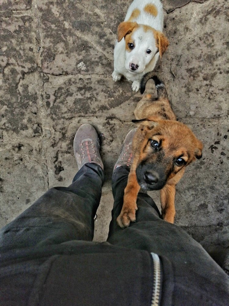 Photograph by DHIRAJ GOSWAMI