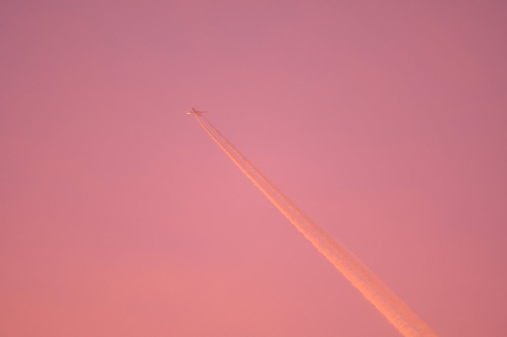 Мечты о розом полёте