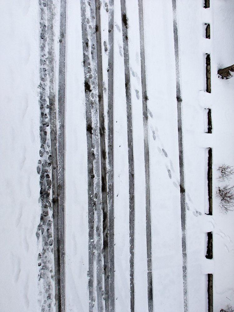 Photograph by ghasem sahrayi