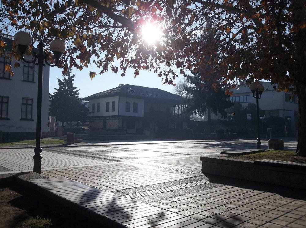 Photograph by Георги Колев